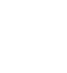 Atom Icon