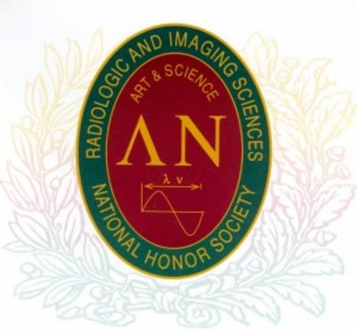 Lambda Nu Logo