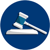 Governance Icon